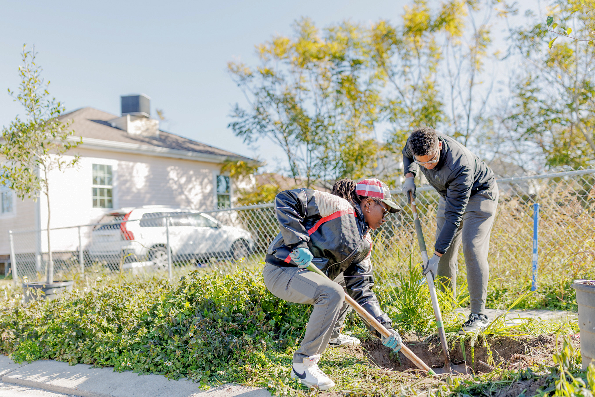 Volunteers work together to dig and plant trees in a residential neighborhood revitalization effort.